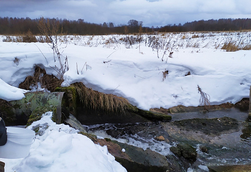 Росприроднадзор выявил сброс стоков в озеро Галичское в Костромской области